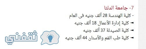 الجامعات في مصر