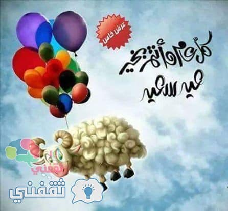 الأضحية بعيد الاضحي