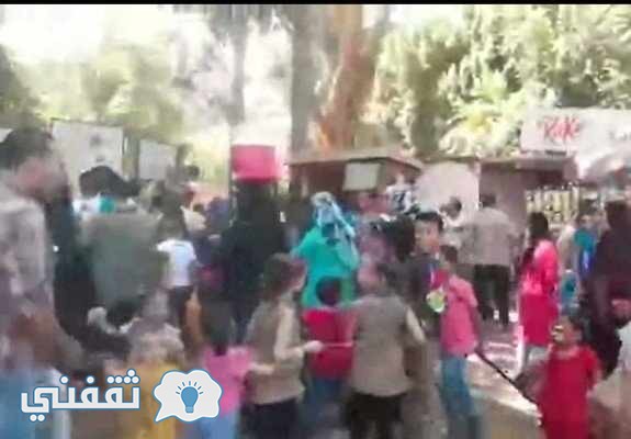 بالفيديو.. أب يجر أولاده بحبل خوفا من الخطف في حديقة الحيوانات