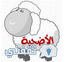 دار الأفتاء المصرية.. ترفض الأضحية بالاستدانة وتقبل الحج بالتقسيط
