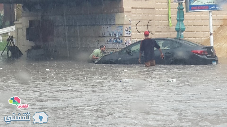 بالصور ثلاث وفيات بالاسكندرية اليوم بسبب أسلاك كهربه الترام ونفوق حصان
