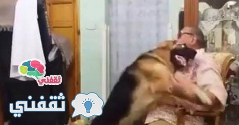 بالفيديو.. رجل مصري يجعل كلبه يعتذر له بطريقة مدهشة