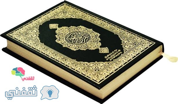 بالفيديو.. مواطن يعثر على كميات كبيرة من المصاحف في مكب نفايات بالشرقية