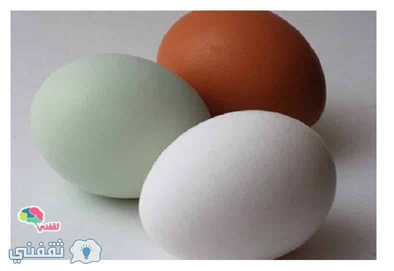 طريقة تحديد البيض الطازج..مع تحديد أى أنواع البيض أكثر فائدة من غيره .؟
