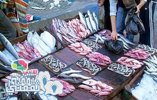 عاجل: رئيس حماية المستهلك يحذر المواطنين الأسماك الحالية بها سم قاتل.