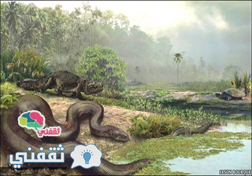 أفعى التيتانوبوا