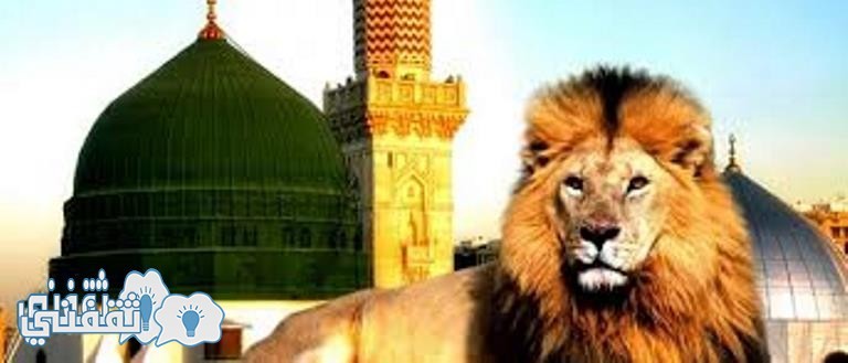سبب دخول الأسود والذئاب المسجد النبوي اخر الزمان