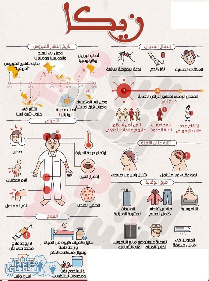 دورة الفيروس فى جسم المصاب
