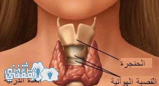 علاج طبيعى فعال لتضخم الغدة الدرقية