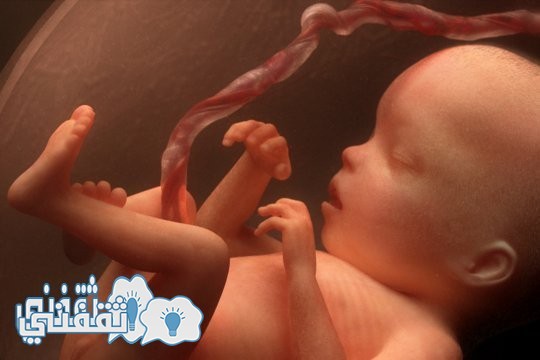 إجهاض الجنين