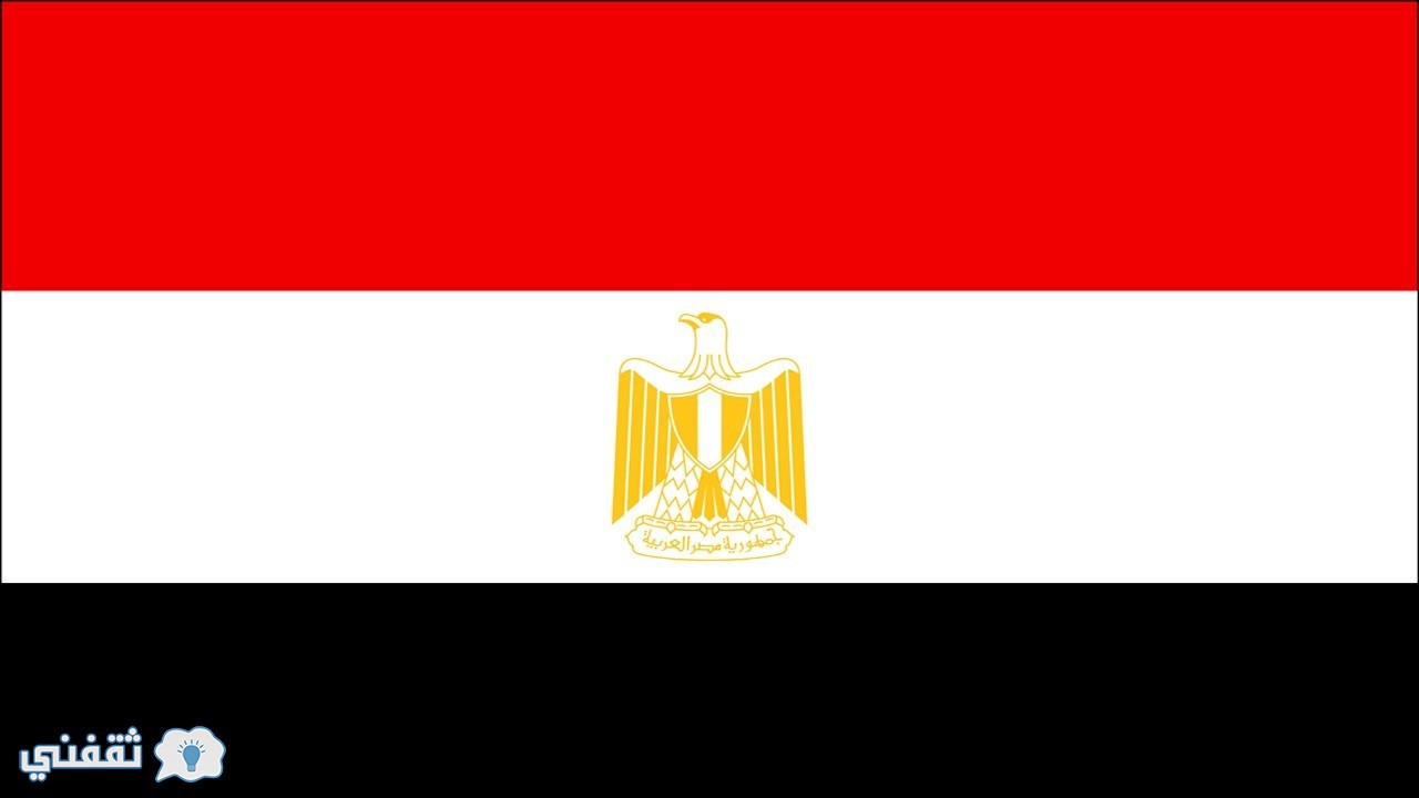 آخر أخبار مصر
