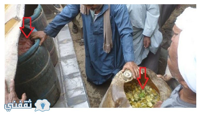 ضبط مصنع لغش المخلل و انتاجه باستخدام مياه الصرف الصحي استعداد لشهر رمضان