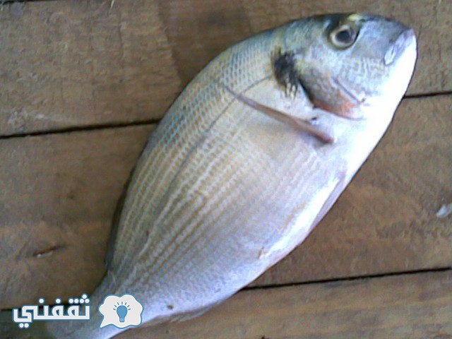 نصائح جديدة وعجيبة لإزالة رائحة السمك وزفارته أثناء الطهى