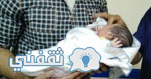 بوتين