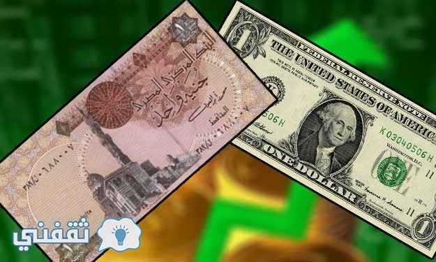 سعر العملة الخضراء