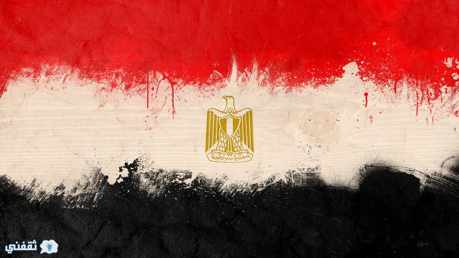 أخر أخبار مصر اليوم