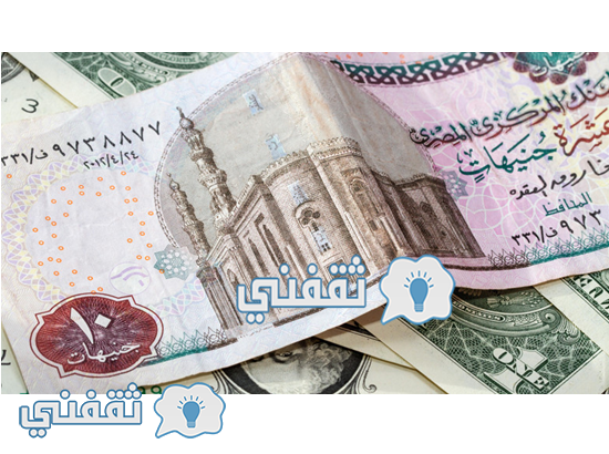 سعر الدولار