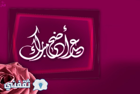 مصر تفتح معبر رفح لمدة يومين اعتبارا من يوم السبت بمناسبة عيد الأضحى المبارك 