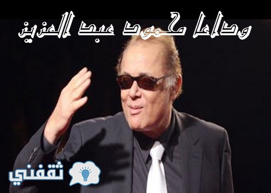 محمود عبد العزيز