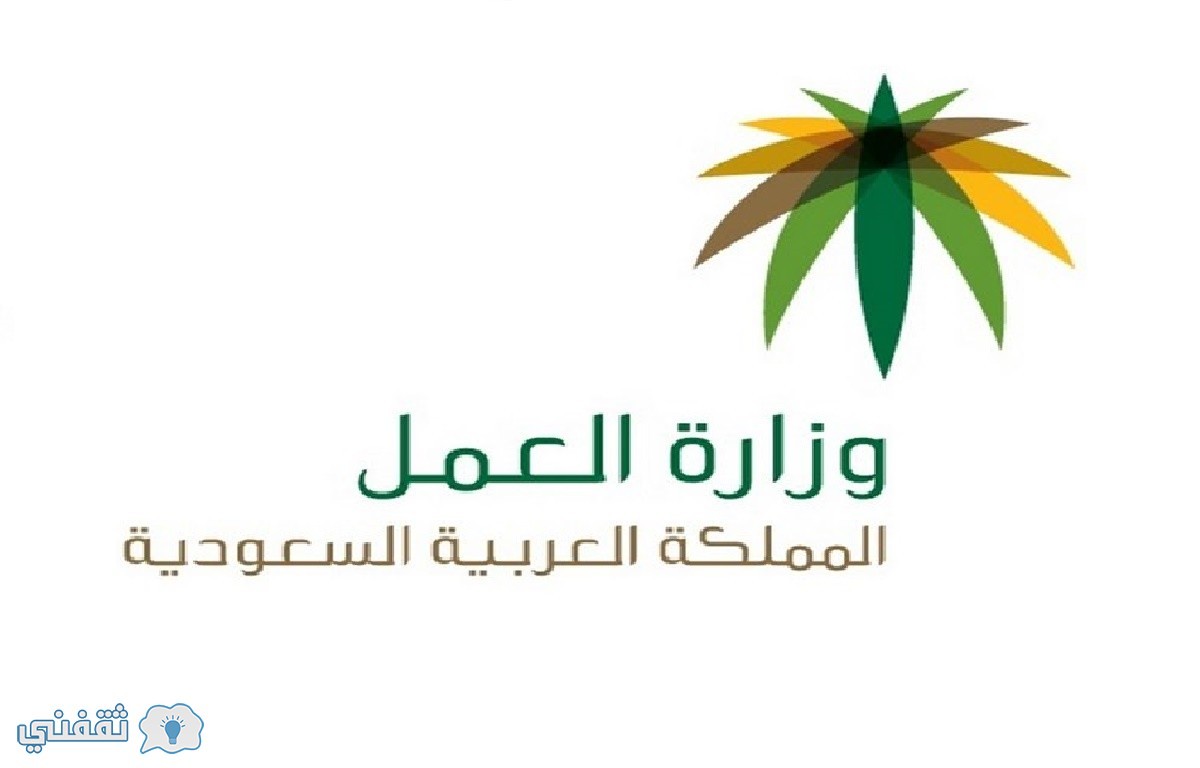 رابط تحديث بيانات المعاقين 1438 : وكالة الضمان الاجتماعي ألية صرف المساعدة المقطوعة eservices.mlsd.gov.sa