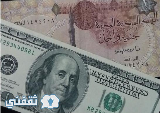 سعر الدولار اليوم