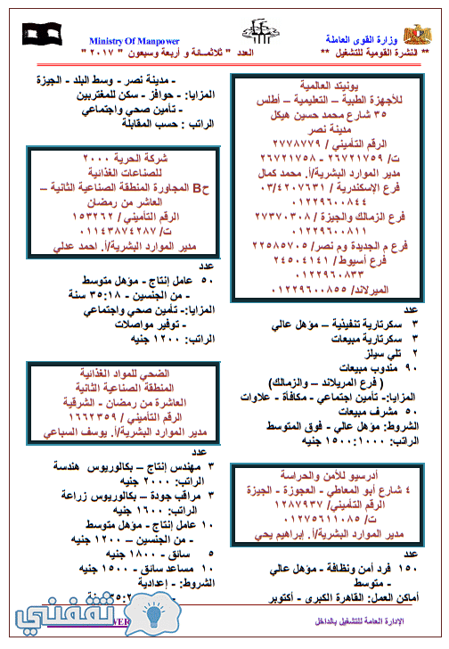 وزارة القوى العاملة تعلن عن 13035 وظيفة لجميع المؤهلات والدبلومات والعمال