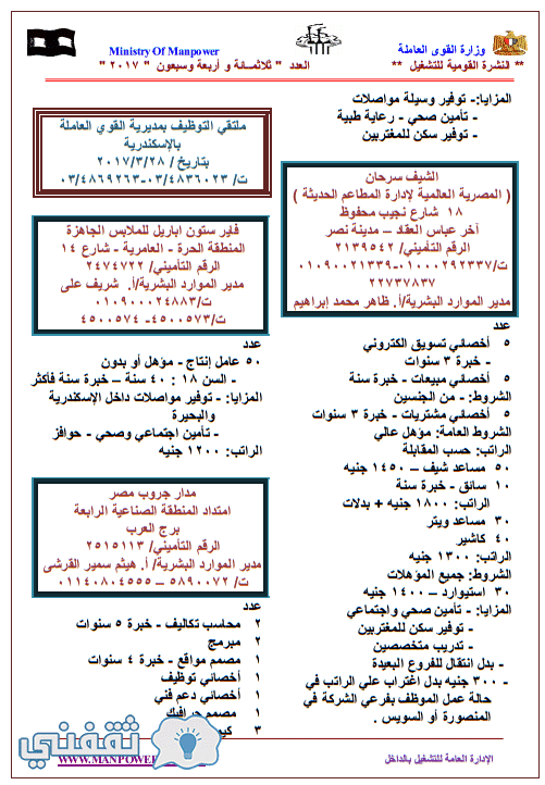وزارة القوى العاملة تعلن عن 13035 وظيفة لجميع المؤهلات والدبلومات والعمال