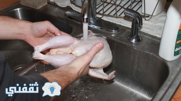 الدجاج يحتوي على بكتيريا وجراثيم