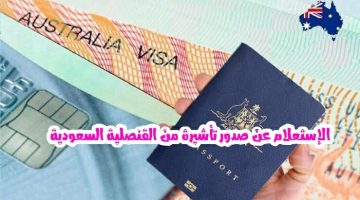 الاستعلام عن صدور تأشيرة من القنصلية السعودية