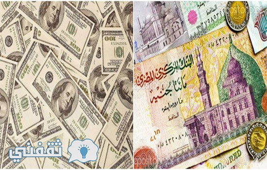 سعر الدولار اليوم