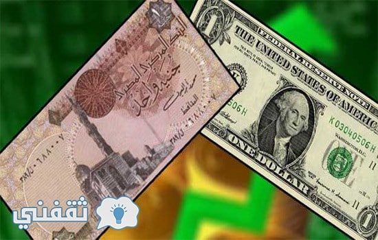 سعر الدولار اليوم