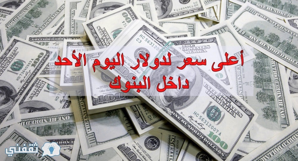 سعر الدولار