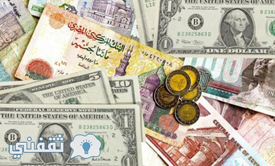 سعر الدولار