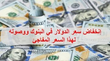 سعر الدولار