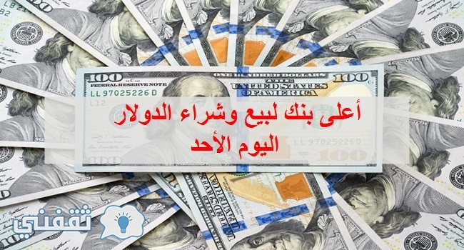 سعر الدولار