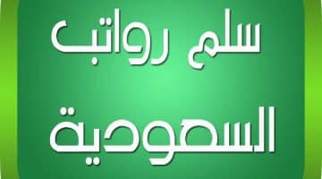 سلم الرواتب الجديد للجامعات.. وزارة التعليم إعلان هيكل رواتب منسوبي الجامعات الأكاديمي والإداري