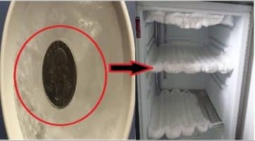 ماذا يحدث عند وضع نقدية في الثلاجة