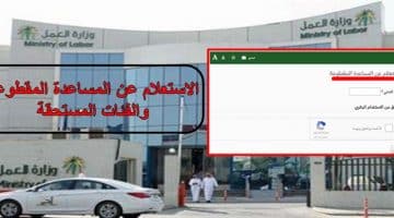 الاستعلام عن المساعدة المقطوعة