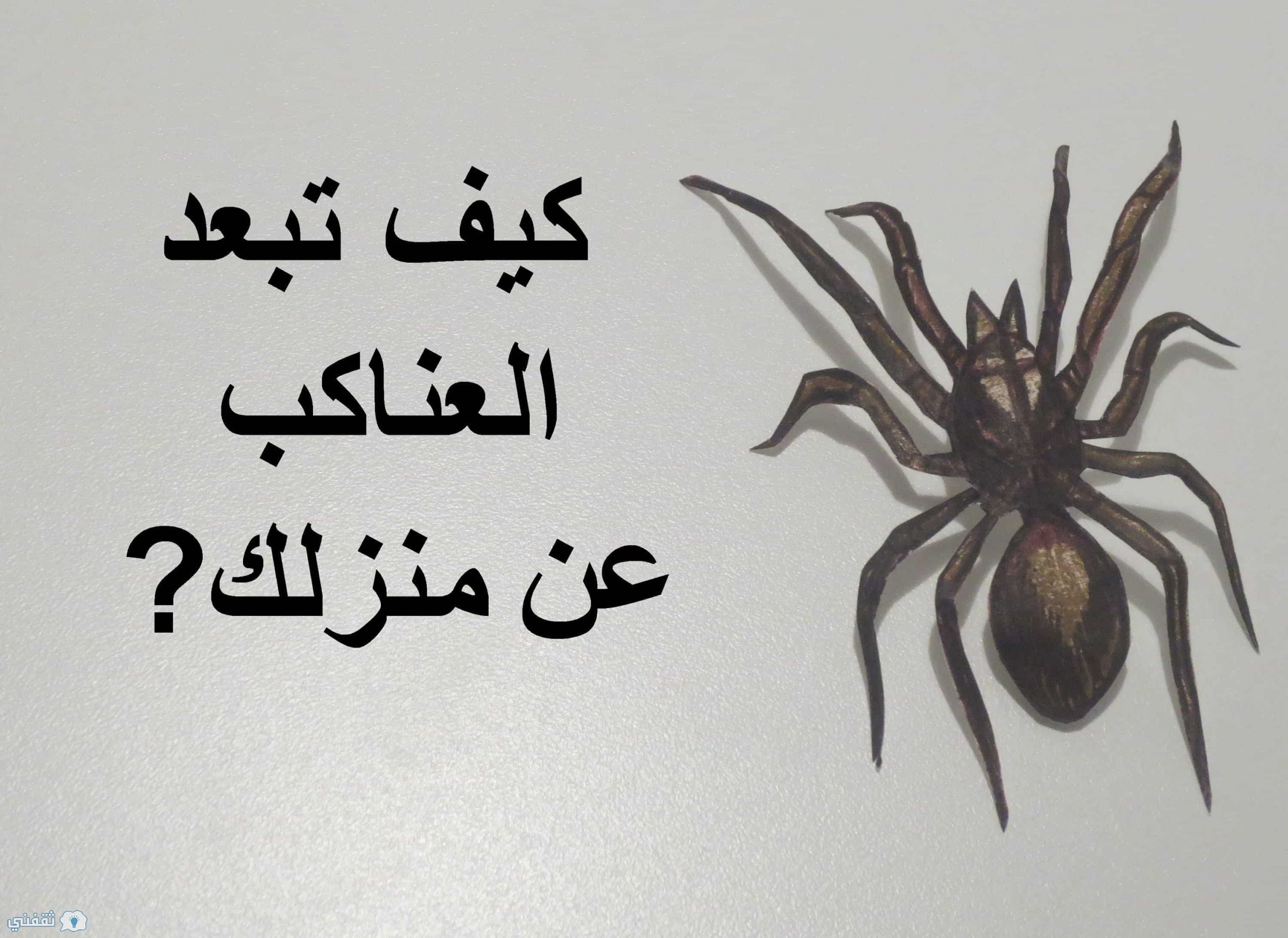 نبتة سحرية موجودة بكل منزل تستطيع أن تقضى نهائيا على الصراصير والعناكب وجميع الحشرات