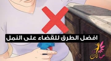 التخلص من النمل