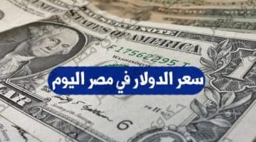 اسعار تداول العملات اليوم فى مصر