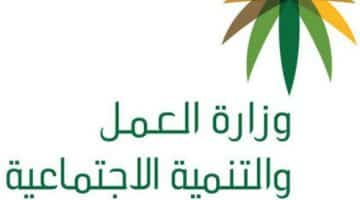 الضمان الاجتماعي السعودي