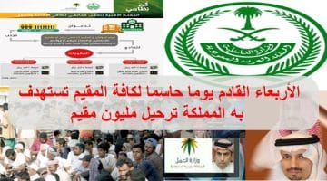 بدء المملكة حملة لاستهداف مليون مقيم