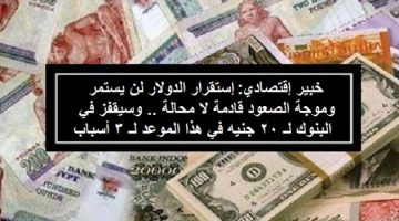 استقرار الدولار لن يستمر