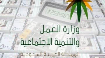 وزارة العمل تدع أموال المساعدات المقطوعة