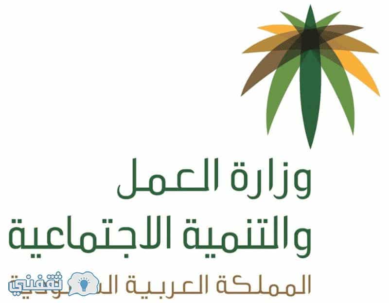 وزارة العمل والتنمية الاجتماعيه