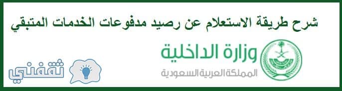 استعلام رصيد المدفوعات