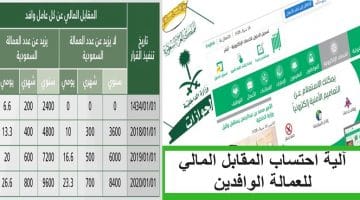 آلية احتساب المقابل المالي