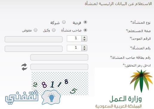 الاستعلام عن البيانات الرئيسية للمنشأة