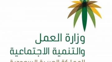 الضمان الاجتماعي المطور